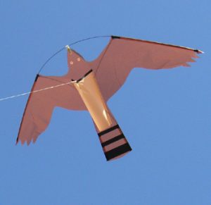 Hawk Kite -haukkajäljitelmäleija